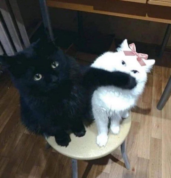 cloud whenever aerith starts yapping about their wall market adventures