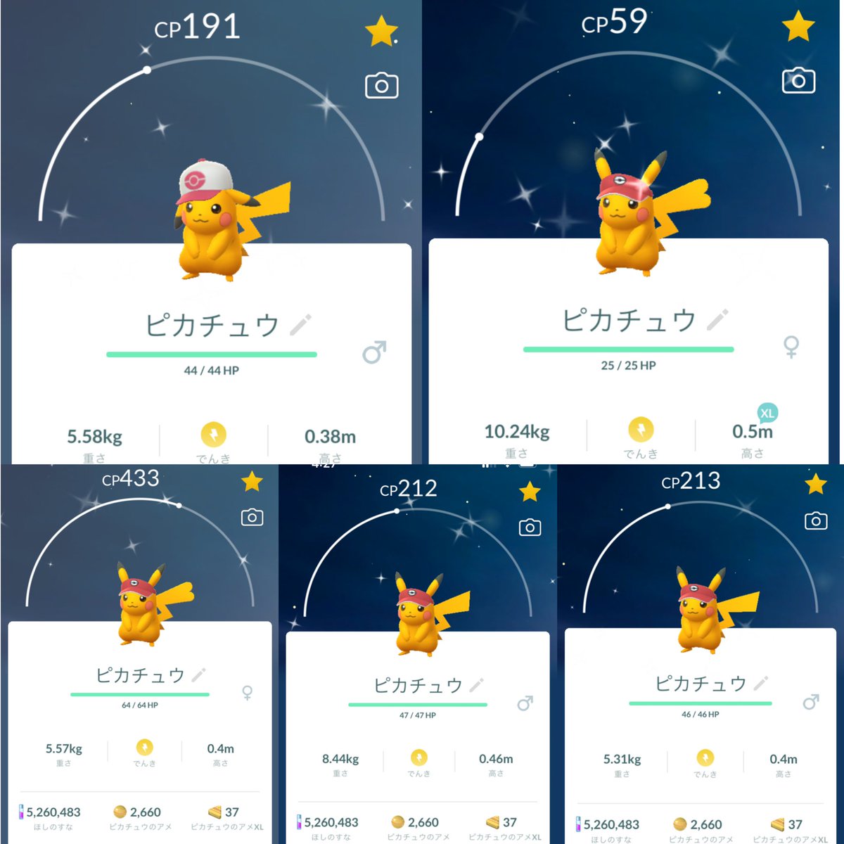 昨日今日でピカ様来てくれたの嬉しかったナーーっ😍垂れ耳かわいすぎる💕