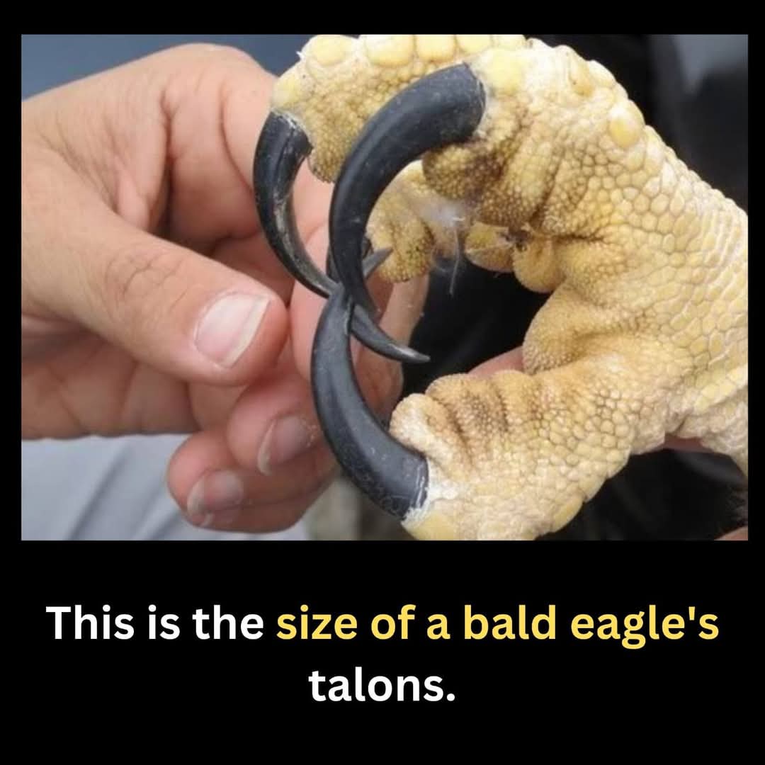 sciencespace0's tweet image. 