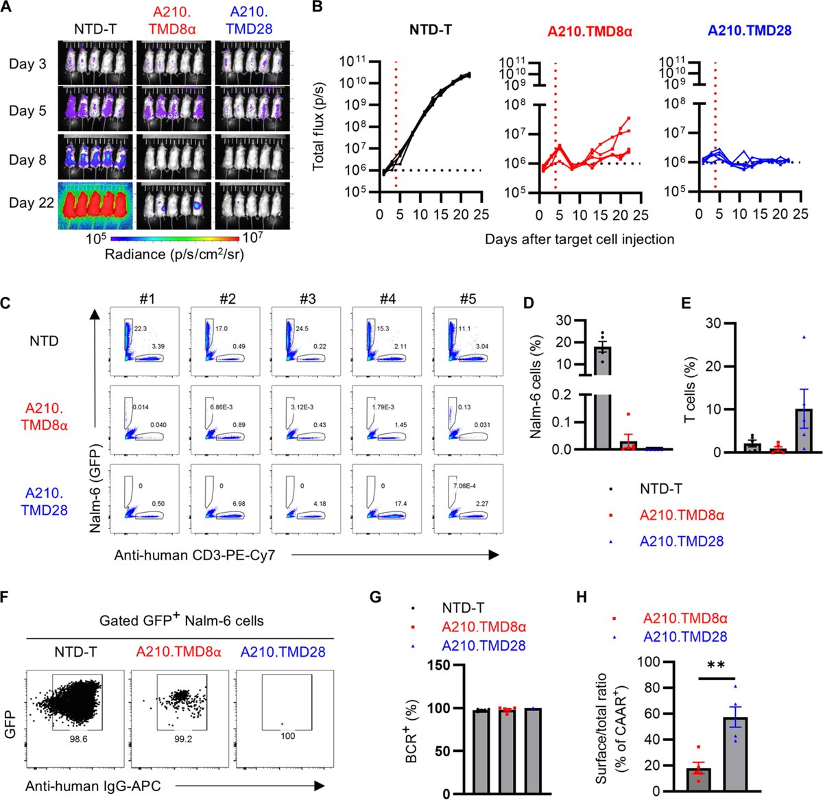 Waggoner Lab (@labwaggoner) on Twitter photo A precision cellular immunotherapy shows potential to deplete only autoimmune B cells in AChR-seropositive myasthenia gravis <a href="/ScienceAdvances/">Science Advances</a>
science.org/doi/10.1126/sc… A precision cellular immunotherapy shows potential to deplete only autoimmune B cells in AChR-seropositive myasthenia gravis <a href="/ScienceAdvances/">Science Advances</a>
science.org/doi/10.1126/sc…
