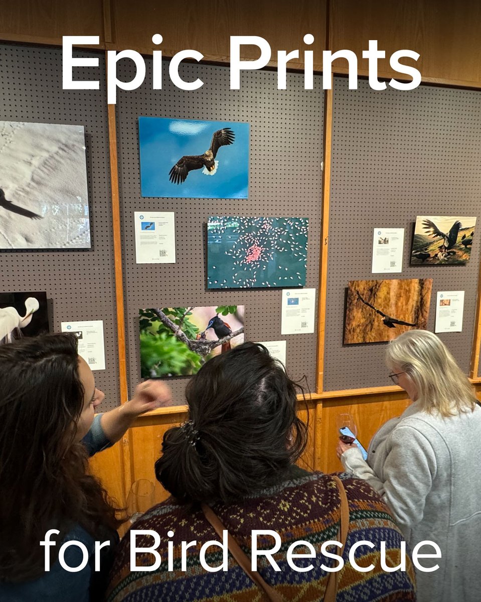 Bay Photo Lab tweet media