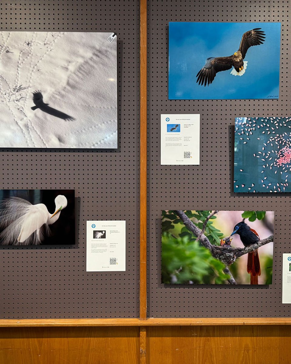 Bay Photo Lab tweet media