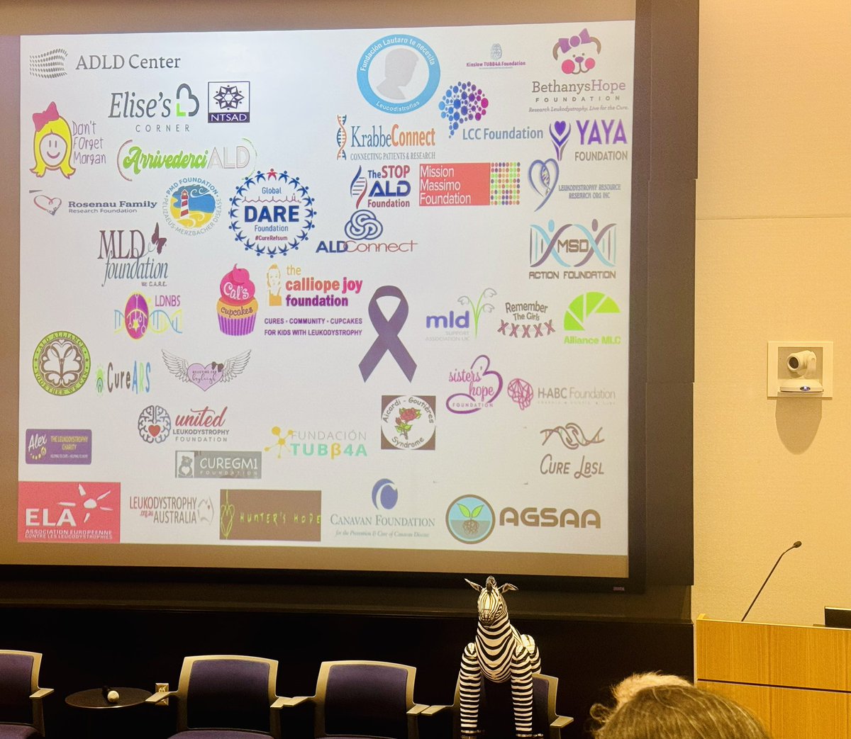 #RareDiseaseDay2025 patient advocacy groups advocating at global
Leukodystrophy initiative meeting #ShowYourStripes
