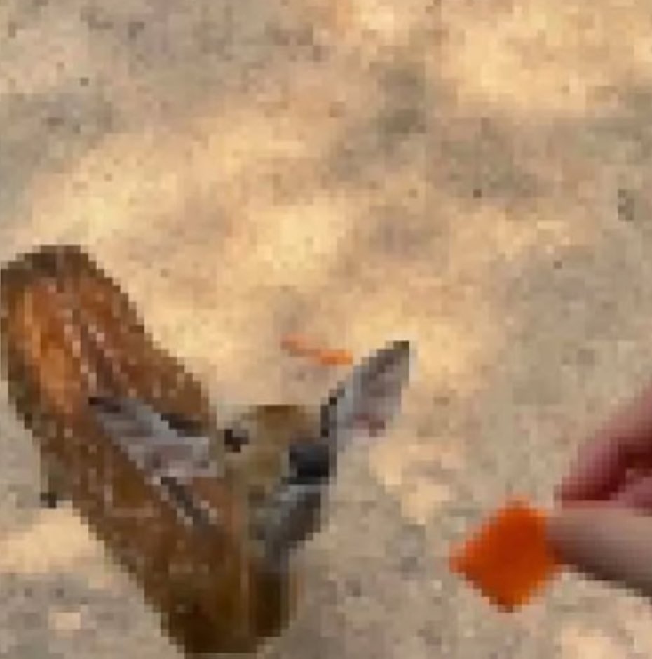 fire force s3 pt1 the 4th and lazarus first ep on the 5th? oh how u spoil me spring anime 😻😻😻