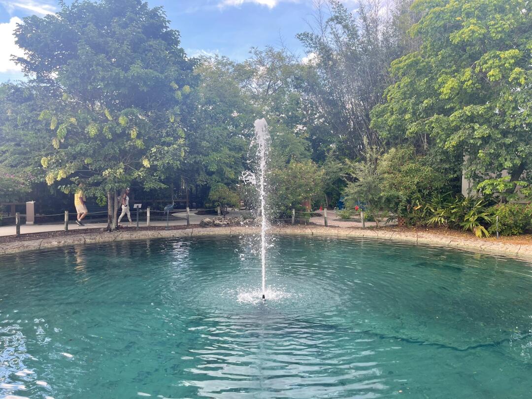 Grace_Kim1's tweet photo. One of the world's largest butterfly theme parks, full of natural miracles, is definitely worth a visit! As soon as you enter the door, you will see the musical fountain, with flying butterflies all over the sky, making you forget your worries and relax instantly. 🦋 https://t.co/WjtSRhOK0q