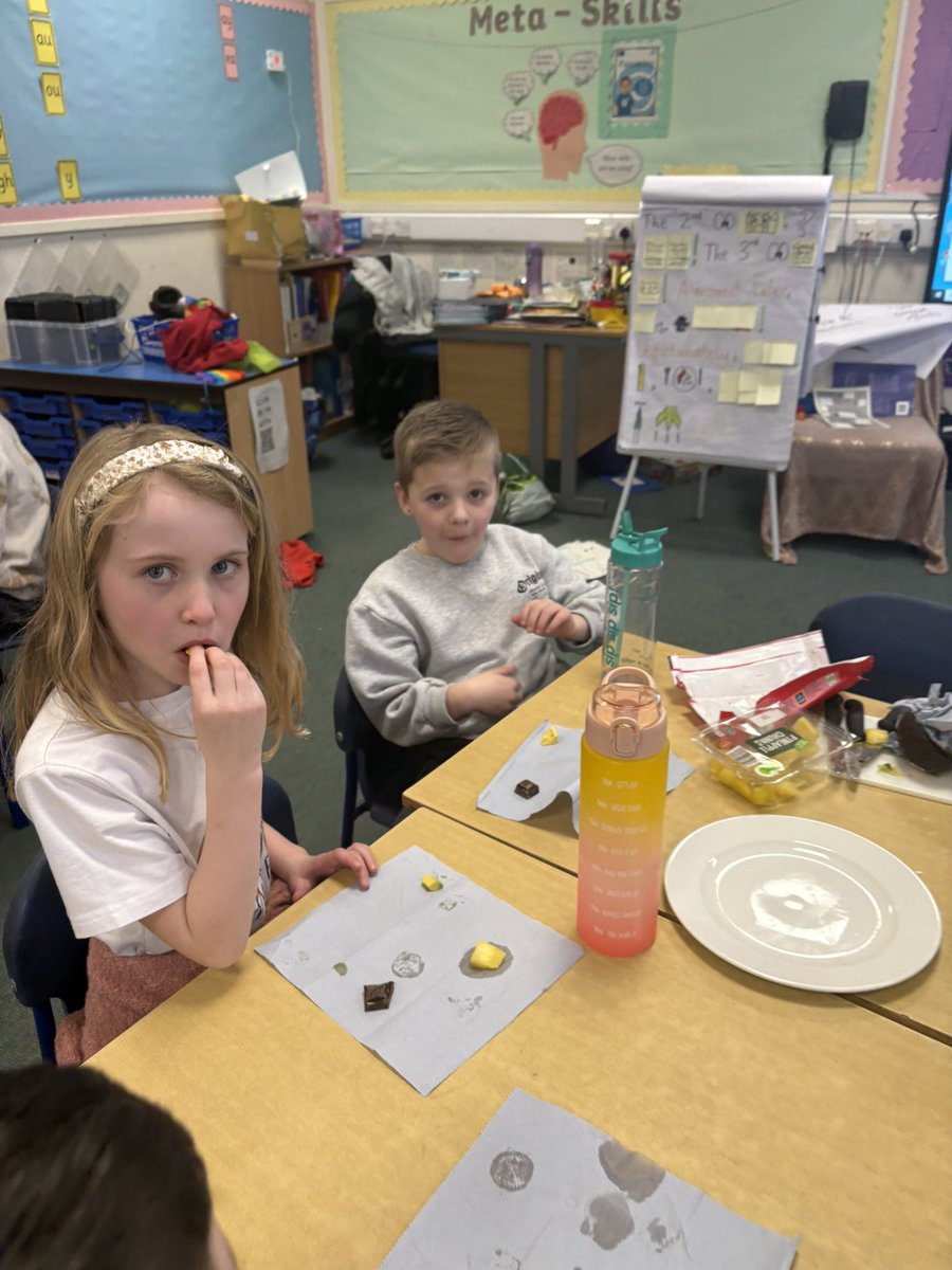 We tried foods that come from the rainforest today! We had lots of discussion about smell, taste, touch! Avocado was our least favourite. Mango was favourite!