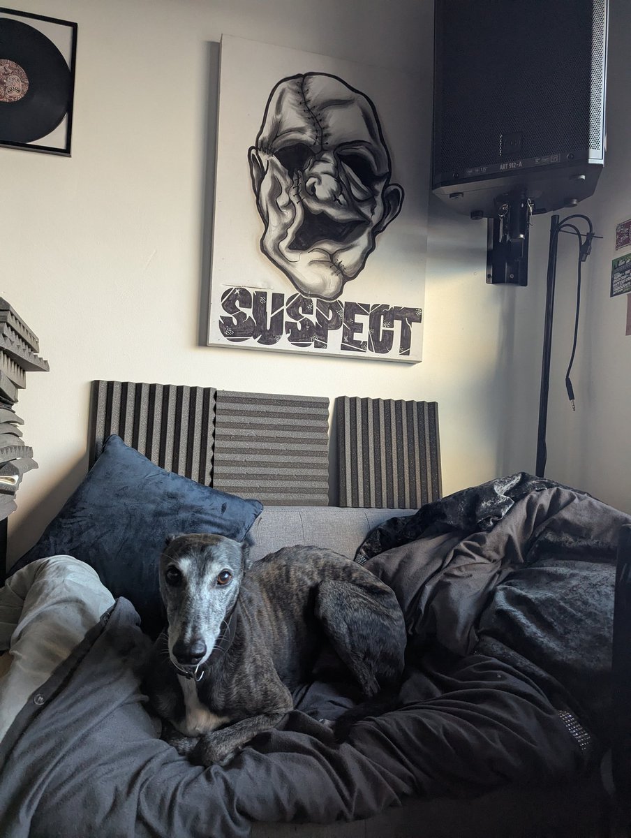 I must be onto a good one if my dog came into the studio to cheer me on