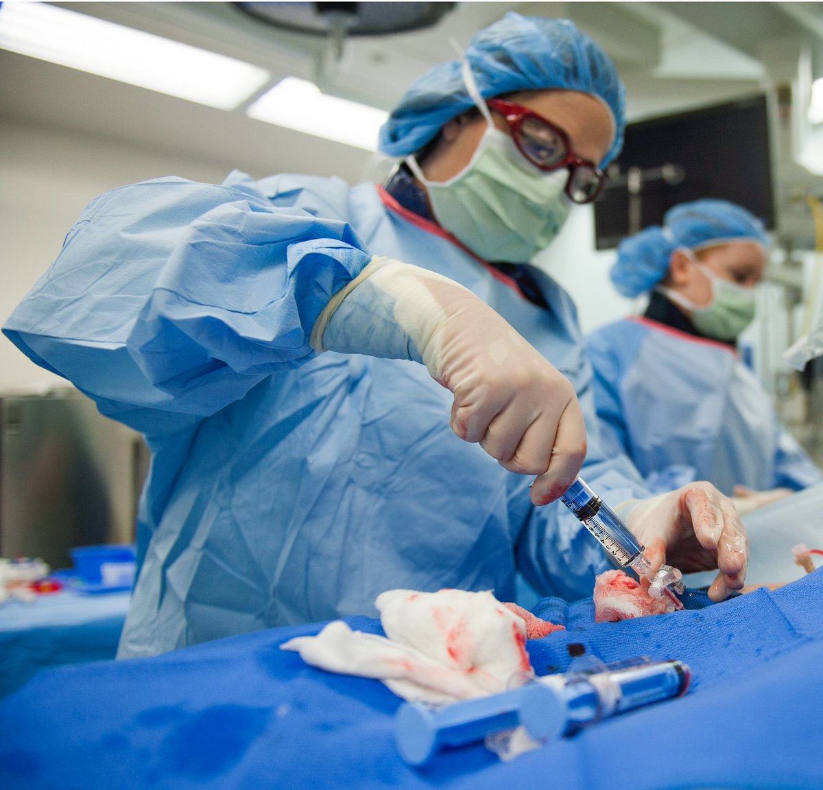 cathlabedu's tweet image. Cardiac Specialist Degree
Cardiac Specialist students go beyond merely learning procedures—they cultivate analytical thinking skills and expertise to guide their labs into the future.
weber.edu/msrs/Cardiac_S…
#RCIS #radiologictechnologist #CathLabTech #CathLab #CardioTwitter