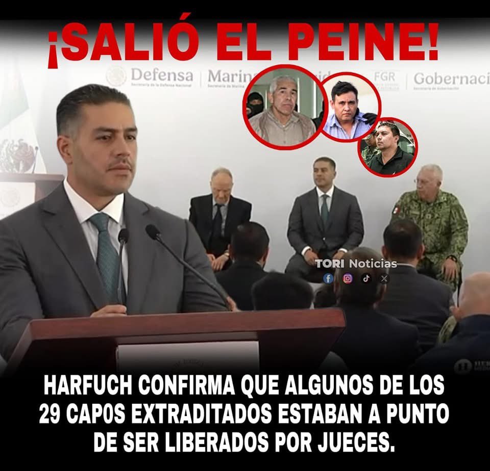 tori_noticias's tweet image. ¡URGENTE! 🚨🚨

El titular de Seguridad y Protección Ciudadana @OHarfuch , señaló que había información de que algunos de los 29 cap0s extraditad0s a EE.UU estaban a punto de ser liberados, debido a que tenían tratos con jueces.
