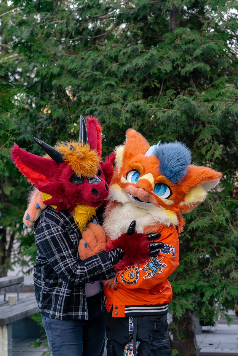 Murrpy (@murrpy) on Twitter photo Lookit! I got me a cute <a href="/KaisunDerg/">Kaisun (Sean) ➡️ 🛌</a> for #FursuitFriday! He smol and adorable bean :3
It was lovely meeting you properly during #NFC2025! 🥰
📸 by <a href="/Krymson_K/">Krym🐾 /🟦 : tuftslink.fr</a> Lookit! I got me a cute <a href="/KaisunDerg/">Kaisun (Sean) ➡️ 🛌</a> for #FursuitFriday! He smol and adorable bean :3
It was lovely meeting you properly during #NFC2025! 🥰
📸 by <a href="/Krymson_K/">Krym🐾 /🟦 : tuftslink.fr</a>