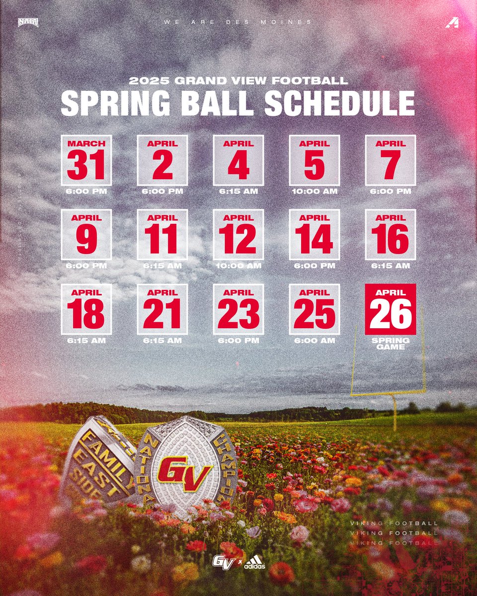 Spring ball coming soon 👀

#WEAREDSM
