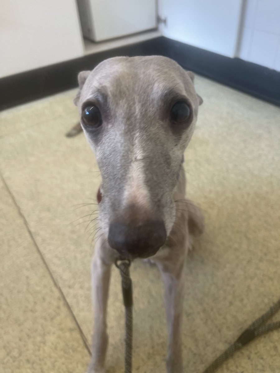 Kai 🌈& Co tweet media