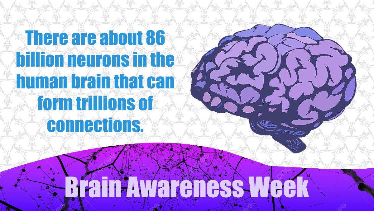 It's #BrainAwarenessWeek! A time to celebrate the amazing brain and raise awareness about neurological conditions like #epilepsy. #EpilepsyAwareness