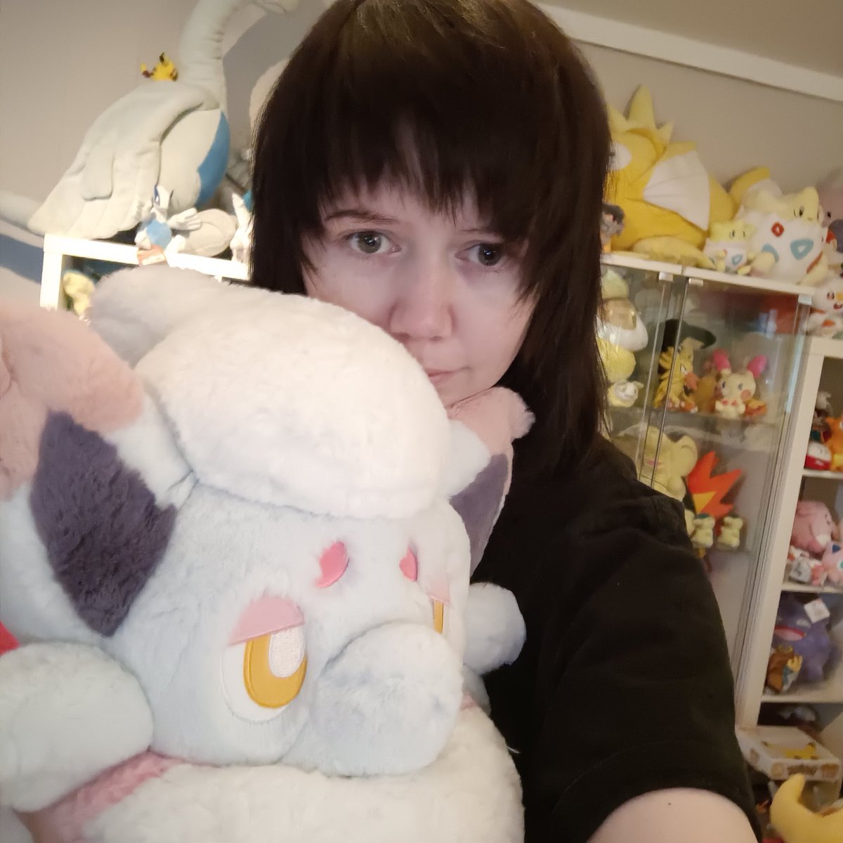 Chiko_Charm's tweet image. Fuwa Fuwa Daki #HizuianZorua plush arrived, he's so fluffy!!😍 
#Zorua #Pokemon #PokemonPlush #PokemonCenter