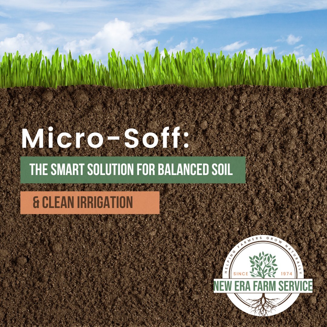 NewEraFarm's tweet photo. Micro-Soff is an organic-acid liquid amendment designed to buffer high pH and sodic soil conditions while supporting standard fertilizer programs.

Learn how Micro-Soff can enhance your soil management: https://t.co/IbXd4TQwAJ 

#NewEraFarmService #pesticidesafe https://t.co/cjq4gp5tno