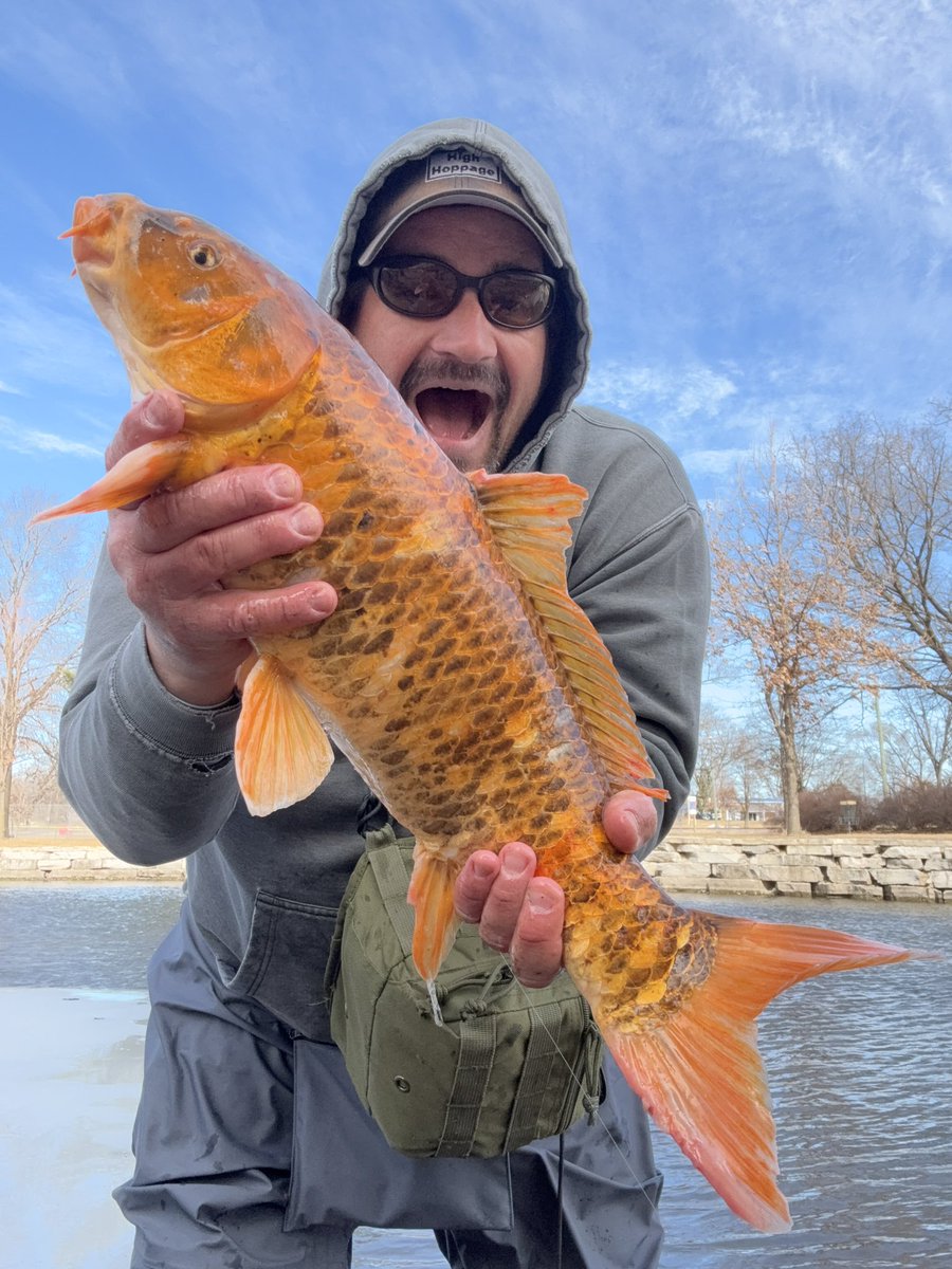 High Hoppage tweet media