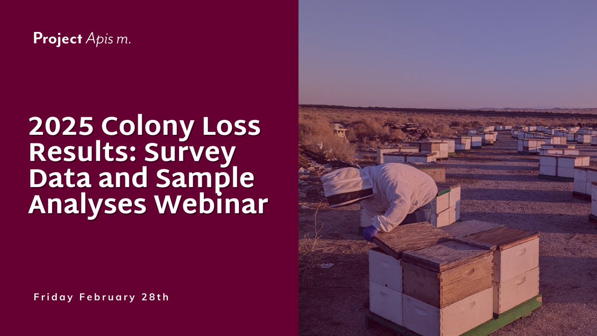 ProjectApism's tweet image. 🐝 Missed the 2025 Colony Loss Survey Webinar? Watch the recording now—youtube.com/watch?v=VOCis4… 📊🍯

Support vital bee research! 💛 Donate: secure.qgiv.com/for/colonyloss…

#SaveTheBees #BeeHealth #PollinatorResearch