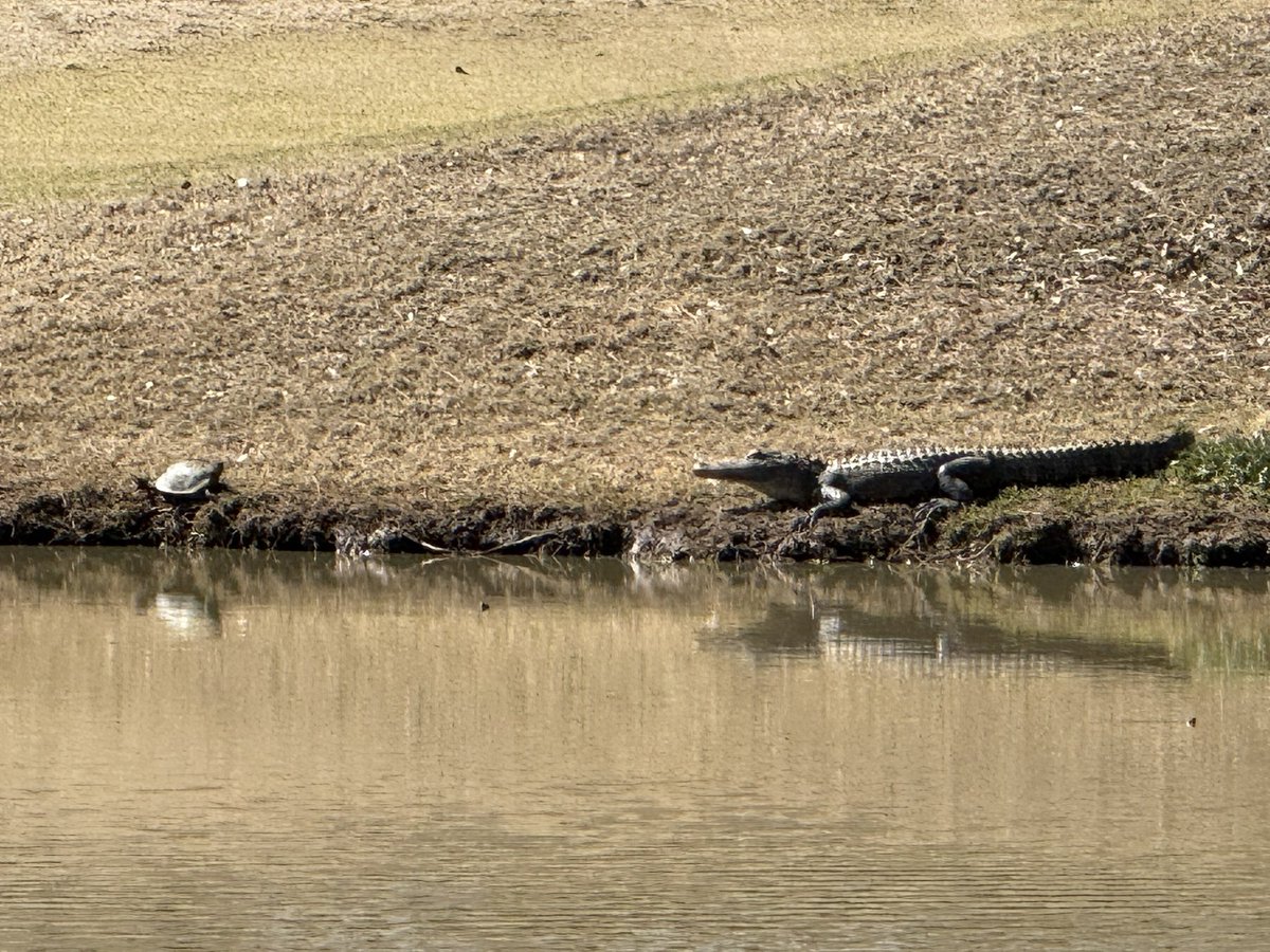 Last day in Jackson, Mississippi. Always great to work with <a href="/PearsonGolf/">Pearson Golf Construction</a> and <a href="/mggolfdesign/">Mike Gogel</a>