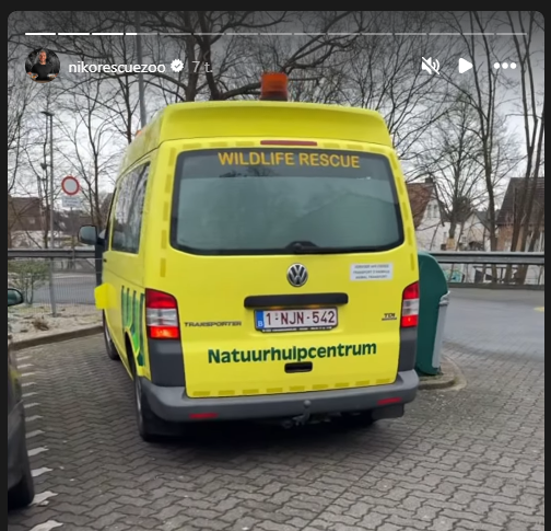 NikoRescueZoo - Charity tweet media