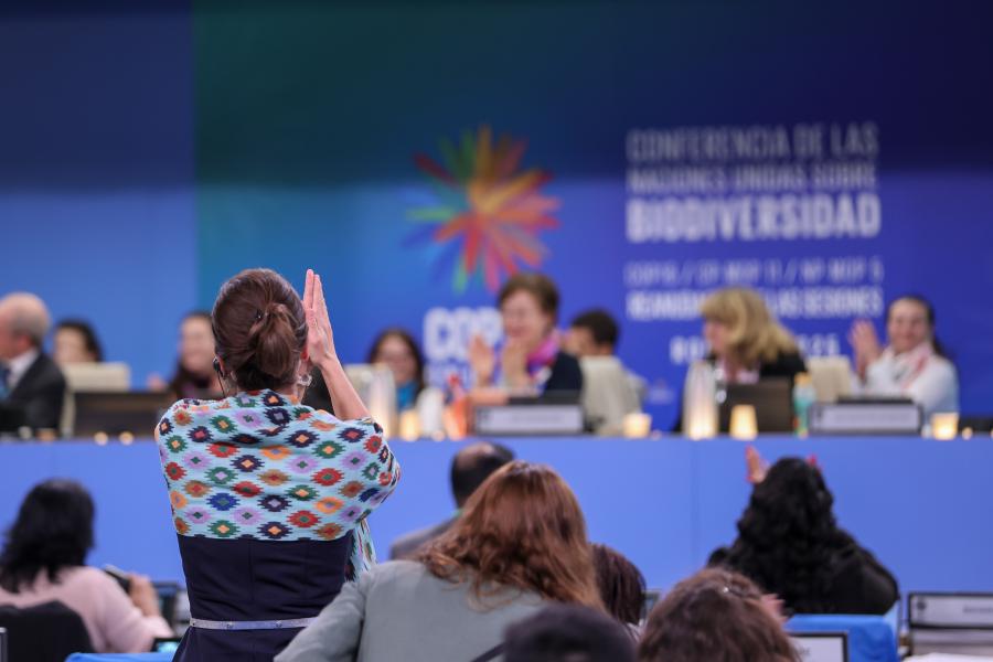 Congratulations to #COP16Resumed! <a href="/UNBiodiversity/">UN Biodiversity</a> parties agreed 1st global plan to finance the conservation of life on 🌍.

Living proof in these troubled times that multilateralism can bring countries together &amp; facilitate agreements despite differences!
bit.ly/3XnGa5l