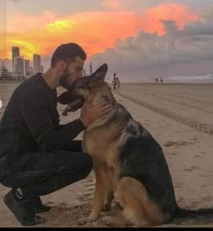 A volte non ti affittano la casa perchè hai un cane.
Però lo vogliono tra le macerie dopo un terremonto
o nel bosco dopo che ti sei perso in montagna,sotto la neve perchè sei sotto una valanga,o in acqua perchè non hai osservato la bandiera rossa.
Lui ti troverà e ti salverà❤️