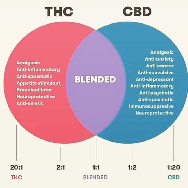 This is still a meaningful graphic. What is your favorite alternative medicine image?

What helps you tell your story?