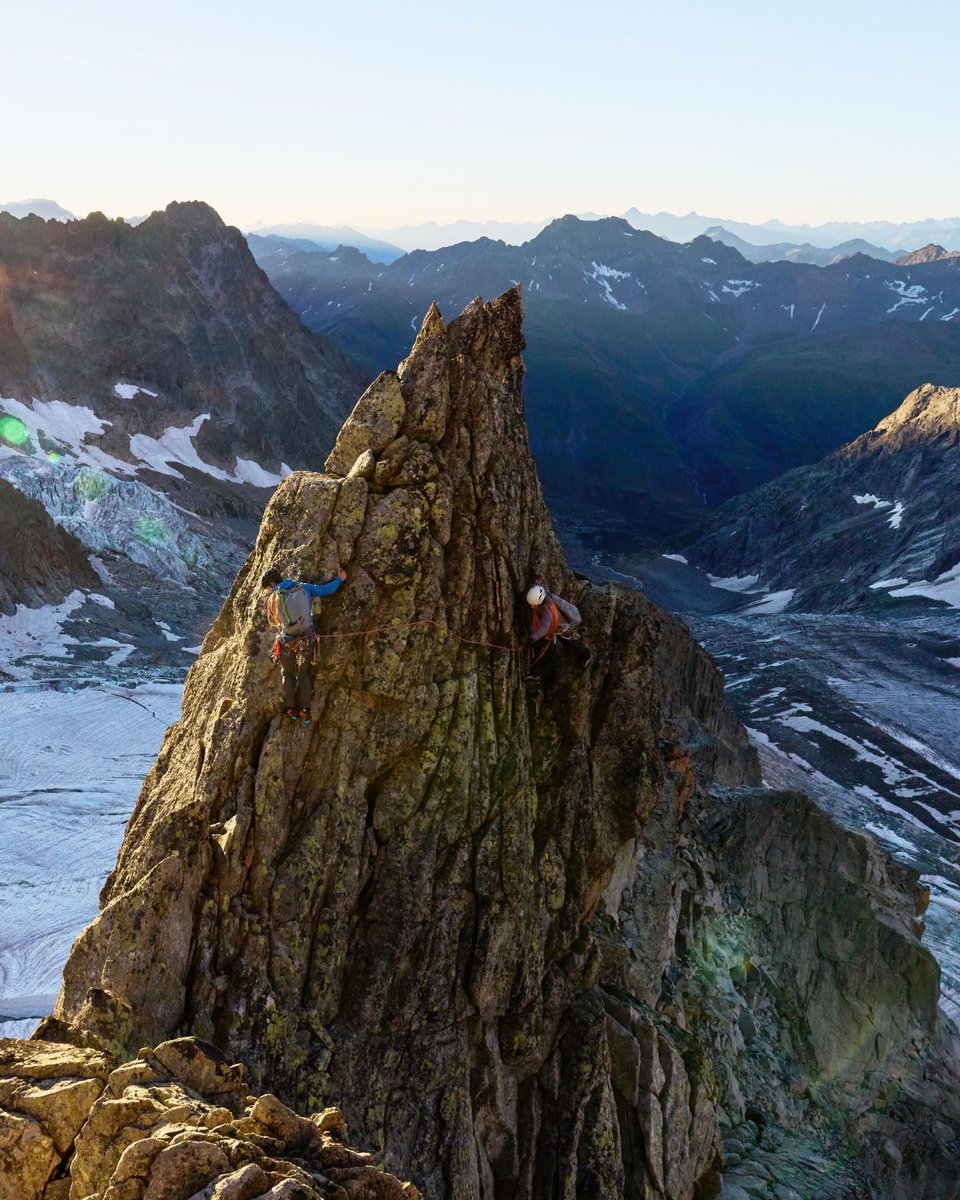 Montane tweet media