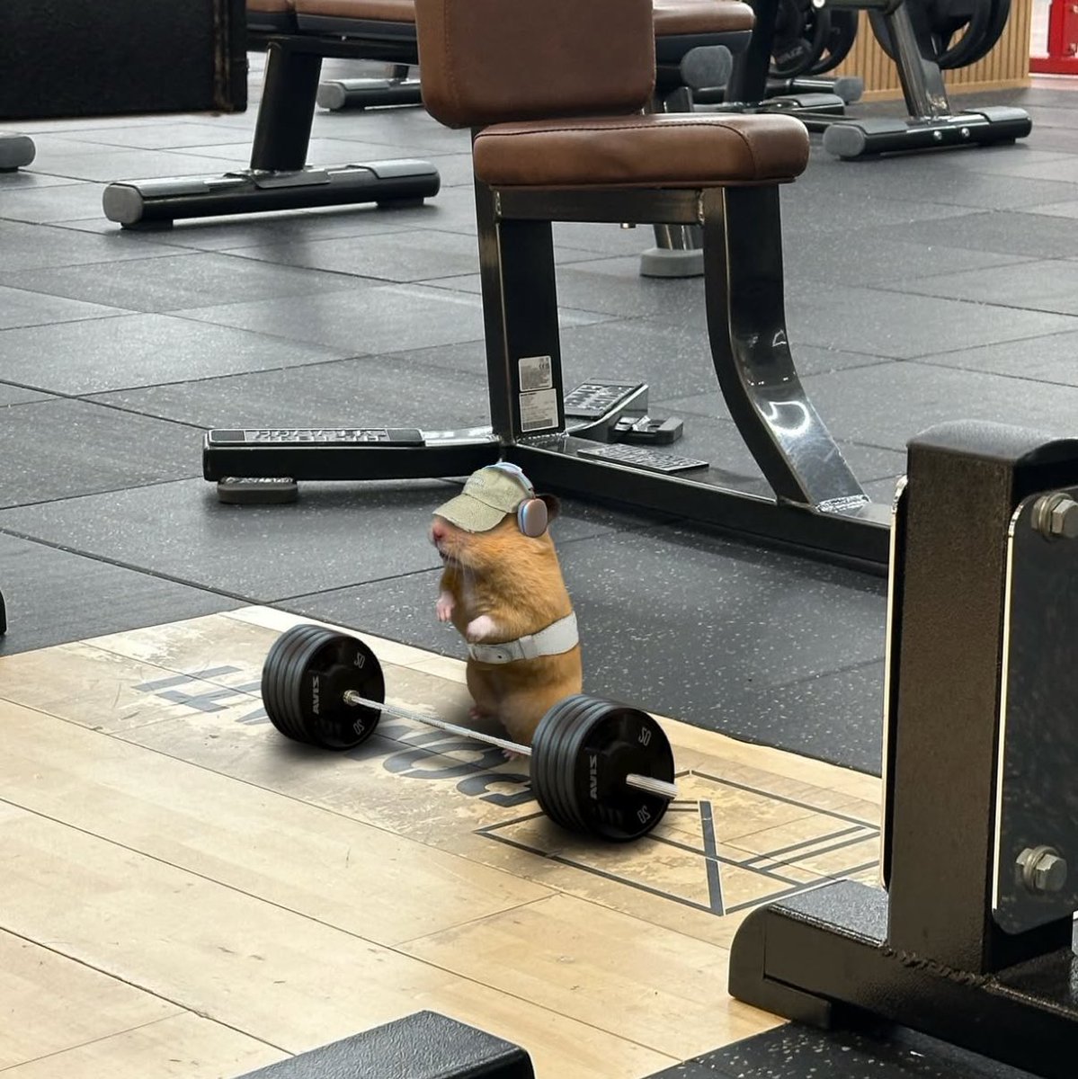 teehytv's tweet photo. I’m so ready to hit the gym today https://t.co/pxhX8cHs2p