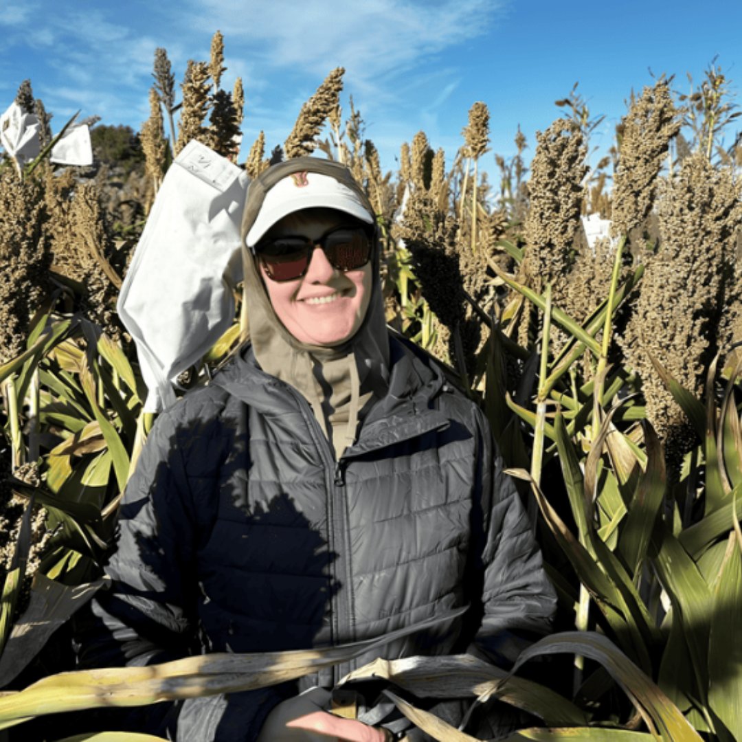 Nevada SBDC (@nevadasbdc) on Twitter photo Sorghum for a Sustainable Future! 🌾
Researchers at <a href="/unevadareno/">University of Nevada, Reno</a> have developed 200 drought-tolerant sorghum varieties that could transform foods. With support from the Small Business Development Center (SBDC)!
#nevada #unr #local #research Sorghum for a Sustainable Future! 🌾
Researchers at <a href="/unevadareno/">University of Nevada, Reno</a> have developed 200 drought-tolerant sorghum varieties that could transform foods. With support from the Small Business Development Center (SBDC)!
#nevada #unr #local #research