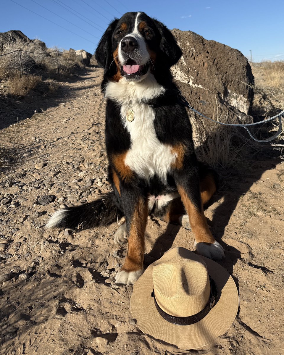 Bark Ranger Betty wants you to B.A.R.K. 

When out on the trails with your dog, remember these four simple things:

B = Bag your pet’s waste
A = Always leash your pet
R = Respect wildlife 
K = Know where you can go

NPS Photo / Dan Leifheit 

#barkranger