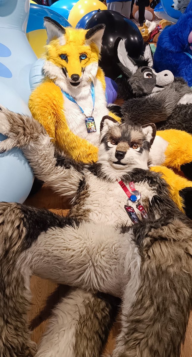 Heppy  #FursuitFriday  😊
Who wants to join the fun 😋
#gdakon 2025
Me and Dreamer 

Photo by Axel