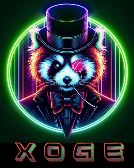 Xoge tweet media