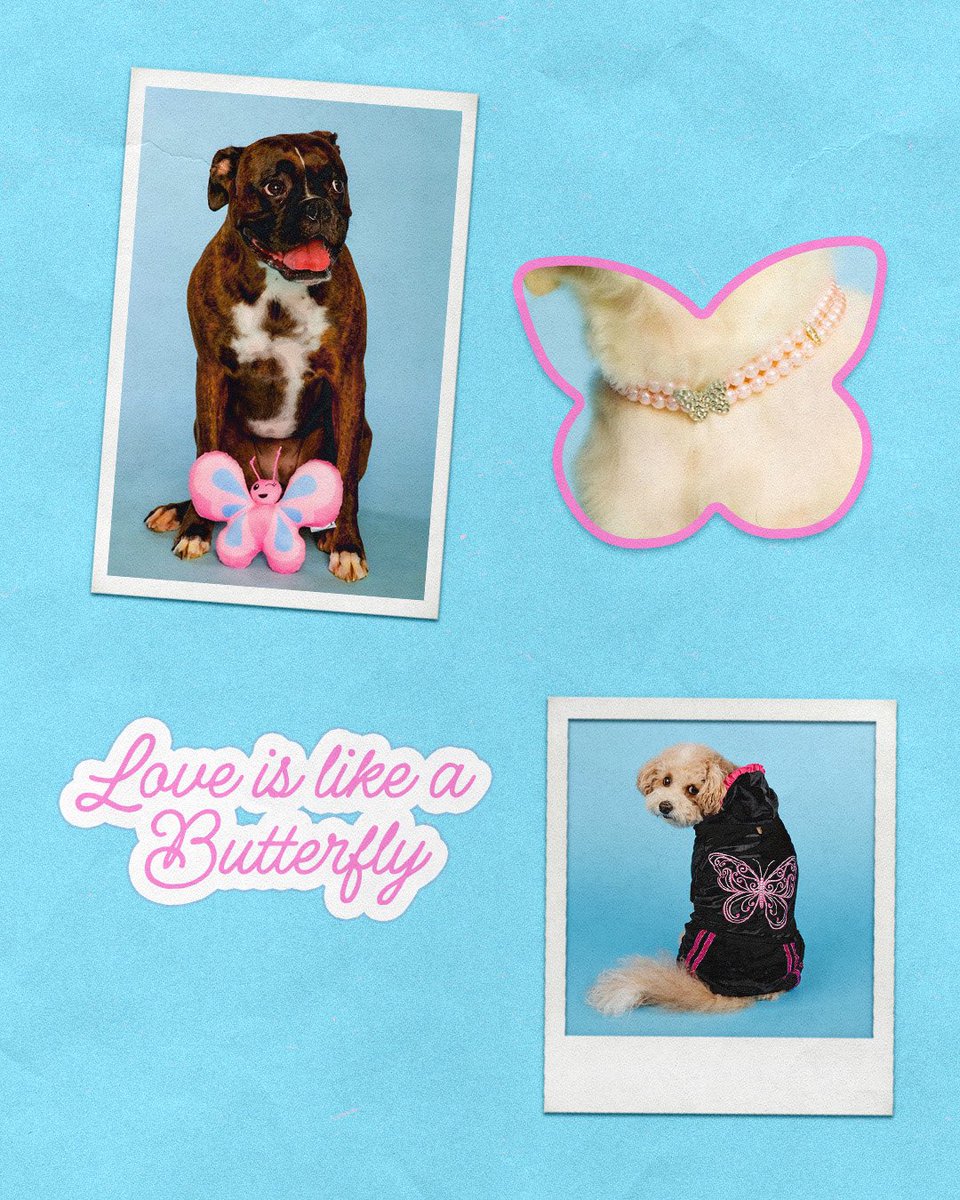 Doggy Parton tweet media