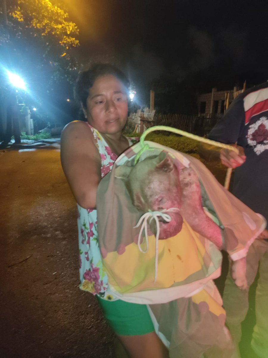 #SantaElena Anoche, pudo ser rescatado el perro reportado macheteado. Así nos informó la activista Cristina Sardinha. Se solicita colaboración para los gastos veterinarios que al momento ascienden a $128. De dólar en dólar por favor