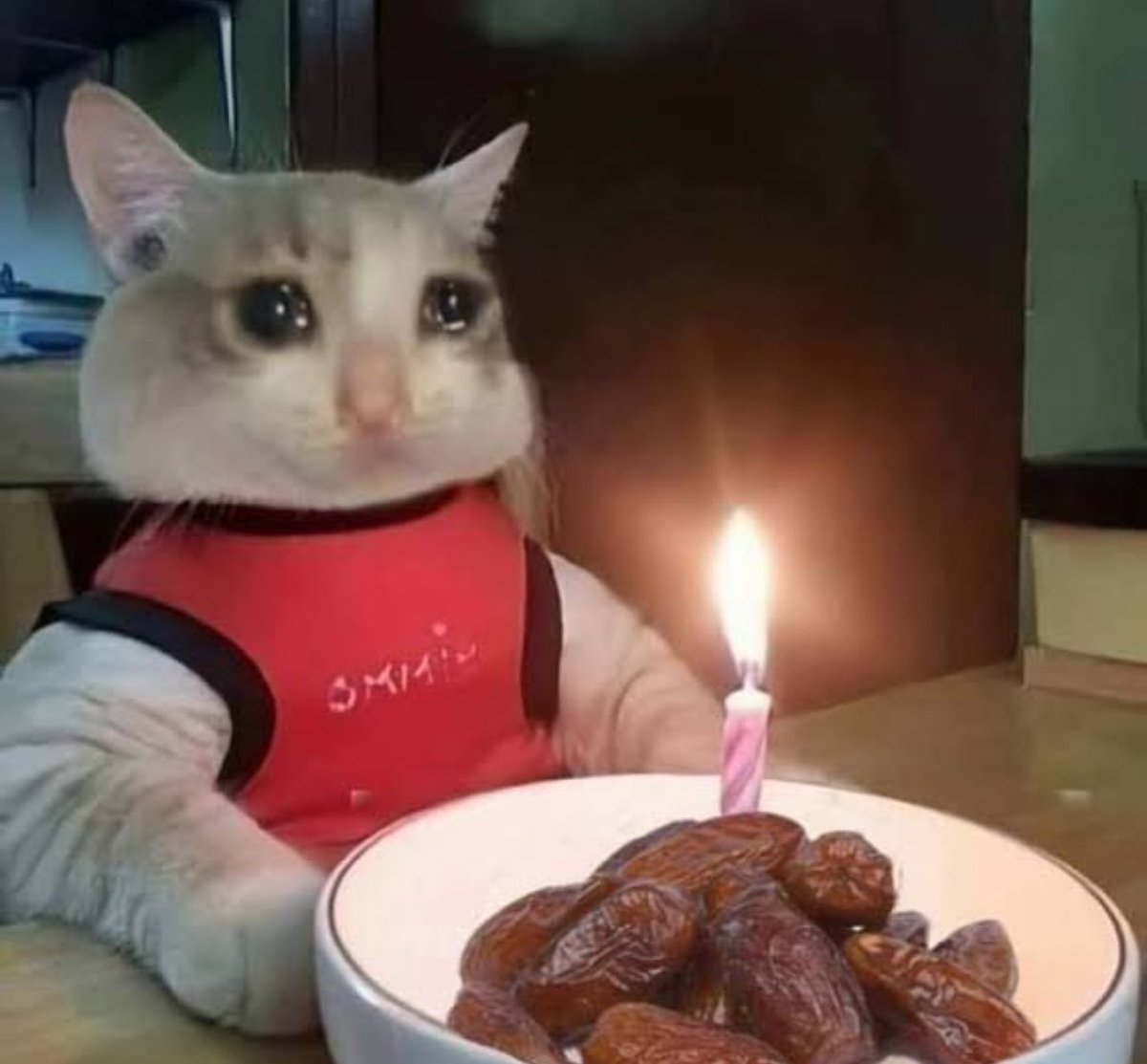 ssrrifa's tweet photo. 24🎂🎉 https://t.co/5fKihlH4Gg