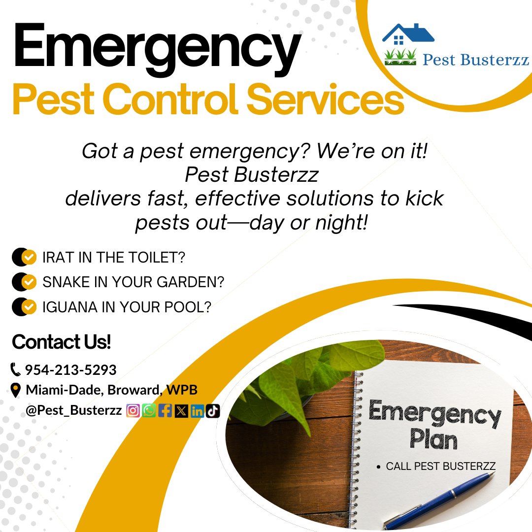 pest_busterzz's tweet image. 🚨🐜 Pest emergency? No problem! 🏡✨ Pests don’t wait, and neither do we! Whether it’s ants, roaches, rodents, or anything in between, Pest Busterzz is ready to act fast with expert emergency pest control! #EmergencyPestControl #PestBusterzz pestbusterzz.com