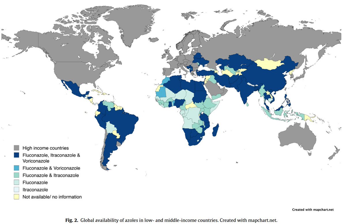 Jon Salmanton-García 🔎🍄🩸💉🦠 (@salmantongarcia) on Twitter photo 🦠 Fungal infections are rising, and resistance is a threat!
⚠️ New antifungals bring hope, but challenges remain—especially in LMICs. 🔬 Read our latest review!
sciencedirect.com/science/articl…
<a href="/martinhoenigl/">Martin Hoenigl🇺🇦🇦🇹</a> <a href="/Josepereira15/">José Pereira Brunelli</a> <a href="/eurconfmedmycol/">ECMM</a> <a href="/efisg_escmid/">ESCMID Fungal Infection Study Group (EFISG)</a> 🦠 Fungal infections are rising, and resistance is a threat!
⚠️ New antifungals bring hope, but challenges remain—especially in LMICs. 🔬 Read our latest review!
sciencedirect.com/science/articl…
<a href="/martinhoenigl/">Martin Hoenigl🇺🇦🇦🇹</a> <a href="/Josepereira15/">José Pereira Brunelli</a> <a href="/eurconfmedmycol/">ECMM</a> <a href="/efisg_escmid/">ESCMID Fungal Infection Study Group (EFISG)</a>