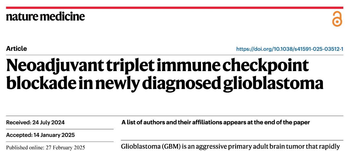 Published yesterday (Feb 27, 2025), a groundbreaking case study by Georgiana Long et al. may redefine GBM immunotherapy. The team reports the first known instance of upfront neoadjuvant administration of immune checkpoint inhibitors (a-PD-1 + a-CTLA-4 + a-LAG3) before surgery in