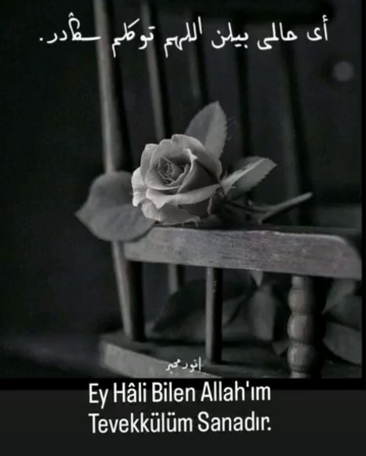 🌹Rabbim, doğrusu bana indireceğin her hayra muhtâcım..

- Kasas, 24

#Hayırlı_Ramazanlar