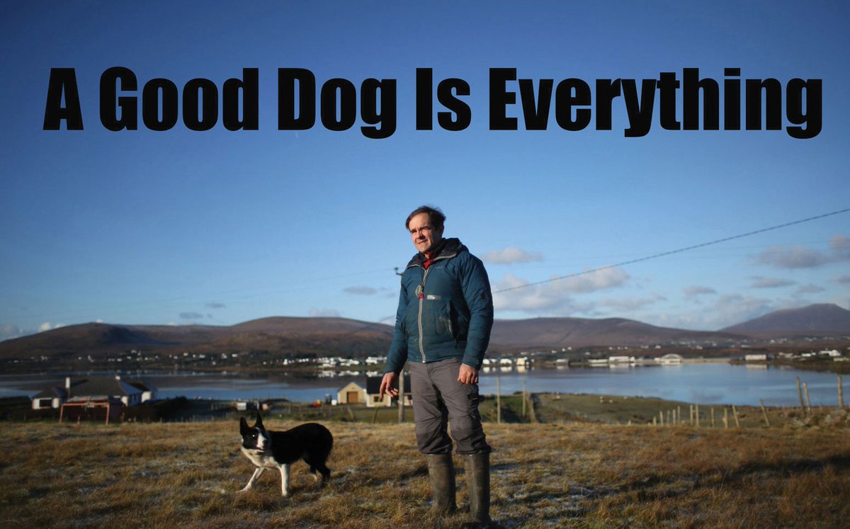 1st Multimedia - A GOOD DOG IS EVERYTHING - Bryan O'Brien, The Irish Times <a href="/BryanJOBrien/">Bryan O'Brien</a> <a href="/IrishTimes/">The Irish Times</a>  #pressphotographers