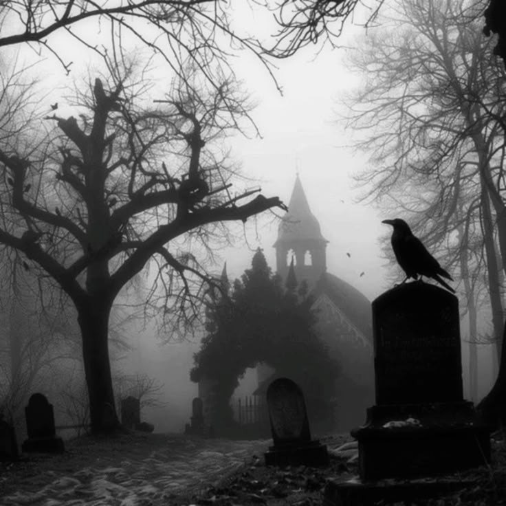 TOKIORISE's tweet image. Forehead kisses here