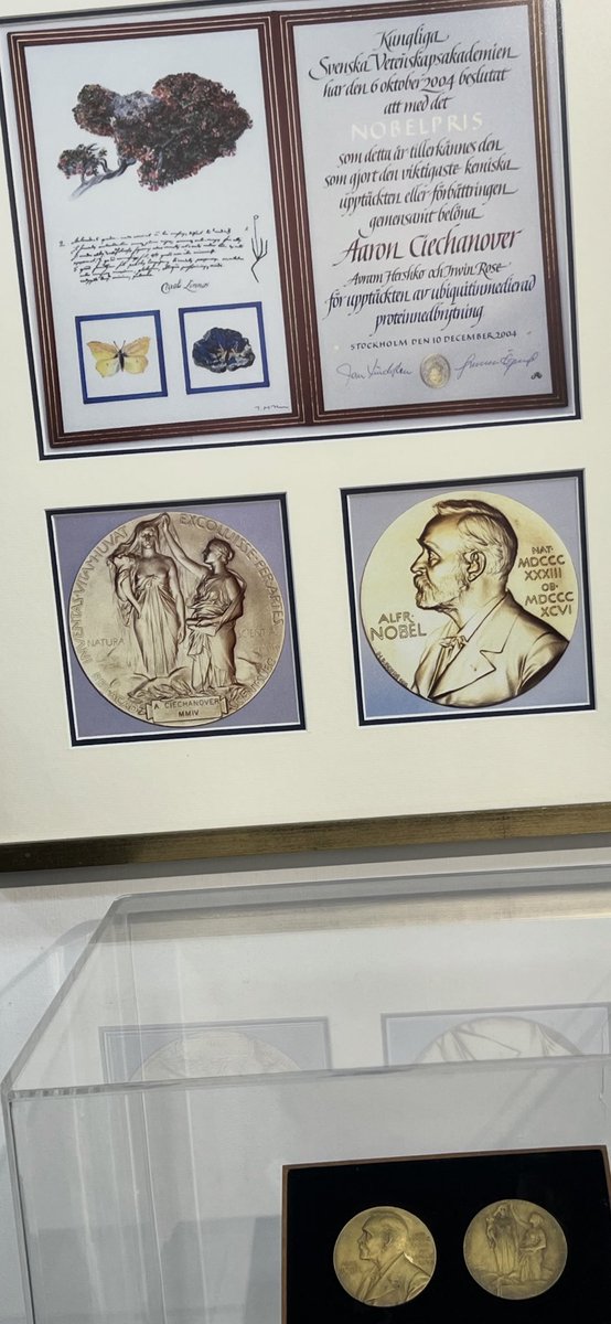 Members of Rambam International Advisory Board had opportunity to visit with Nobel Laureate Dr. Aaron Ciechanover (Technion) awarded prize in chemistry (2004) for description of ubiqutins and protein degradation. Here shows us the medal. What a privilege. ⁦<a href="/NobelPrize/">The Nobel Prize</a>⁩