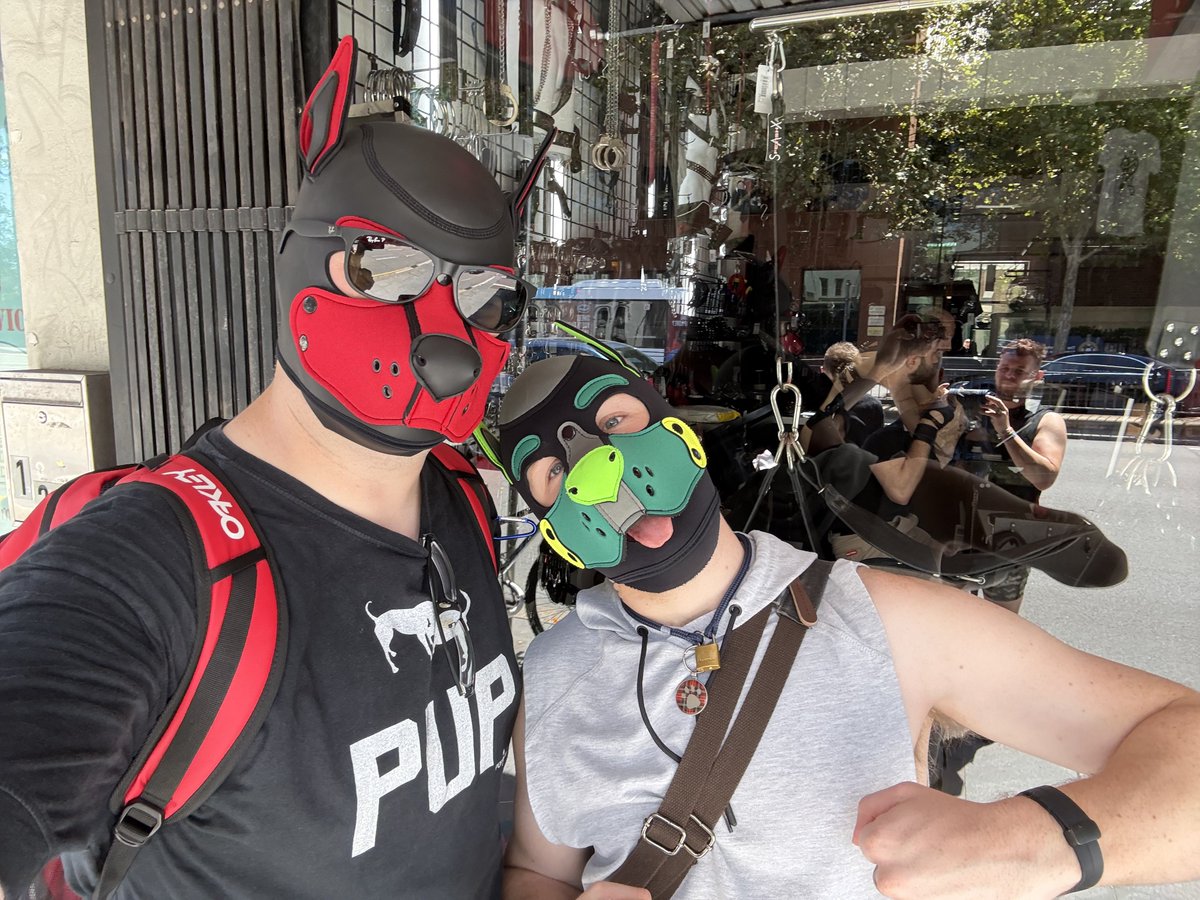 It’s been a fun week in #Sydney for #MardiGras25! 

Always fun to stay with <a href="/CirrusBarks/">Cirrus</a>, catch up with <a href="/PupHammy/">Hammy</a> and finally meet <a href="/HoJu_GSW/">💛 HoJu 💚 🐾</a>!

Awooo!