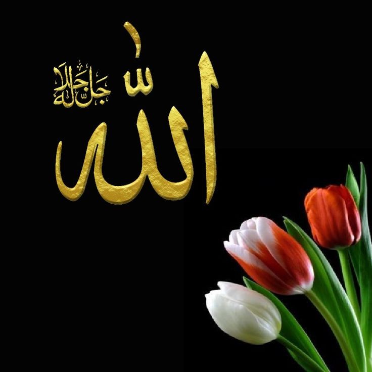 Esselamu Aleykum ve Rahmetullahi ve berakatuhu 

Rabbimiz feyzi bereketiyle cümlemizi nurlandırsın inşaAllah cc huu 🌹امين امين امين

Hayırlı Sahurlar. 
Hayırlı Ramazanlar..