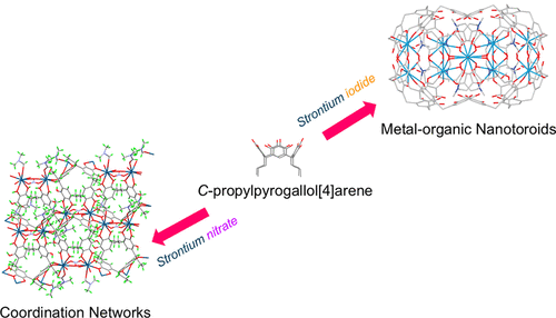bhkenlo's tweet photo. Nanotoroids or Coordination Networks: Molecular Constructs at the Mercy of Anions | Inorganic Chemistry https://t.co/GtL2HiQmIq Baker, Atwood, and co-workers @InorgChem #strontium #iodide #nitrate #MONTs #M8L2 #M24L6 #M24L12 #coordination_networks #mercy https://t.co/weQsWJWWvO