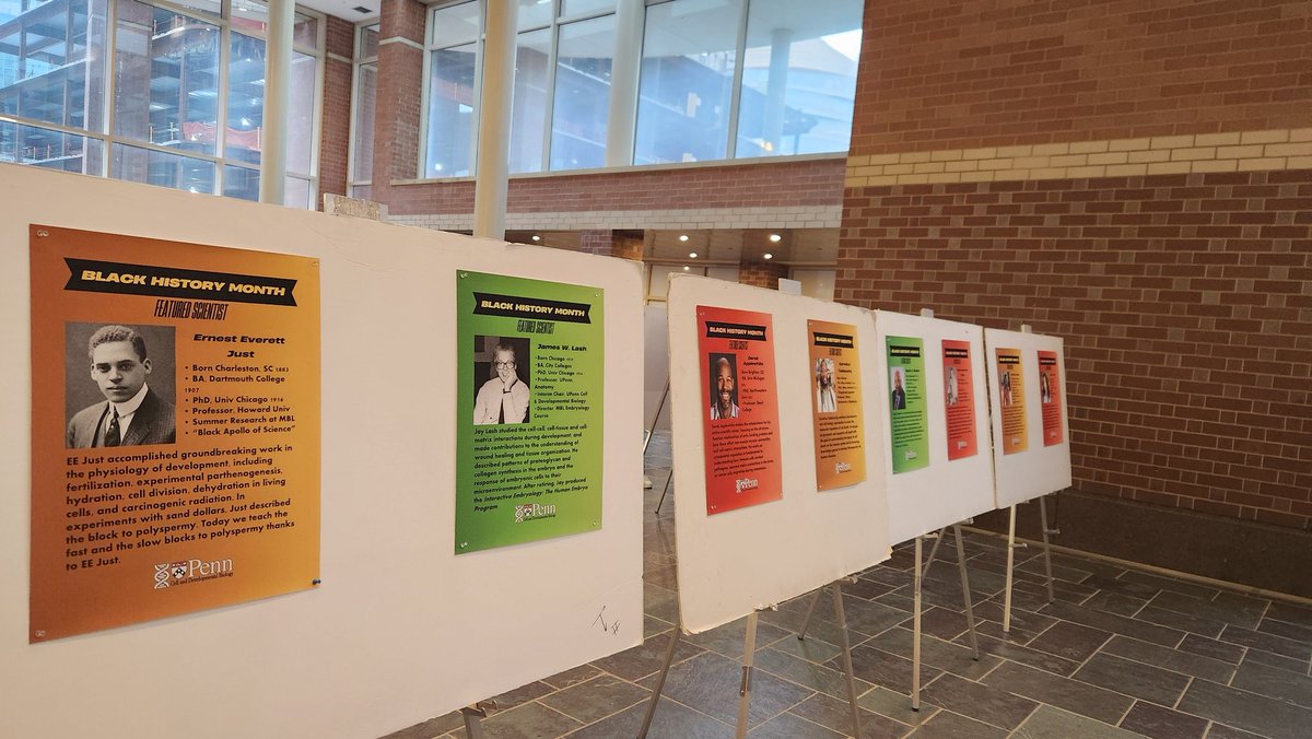 Cornelius Taabazuing tweet media