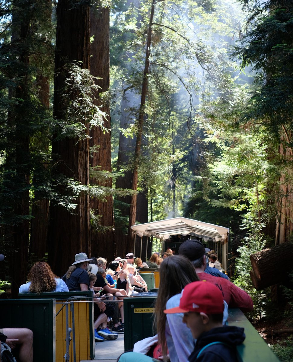 Roaring Camp tweet media