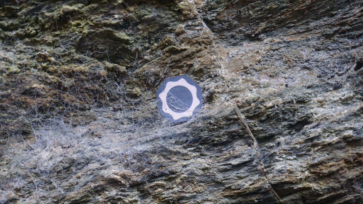 Some of my favourite shots