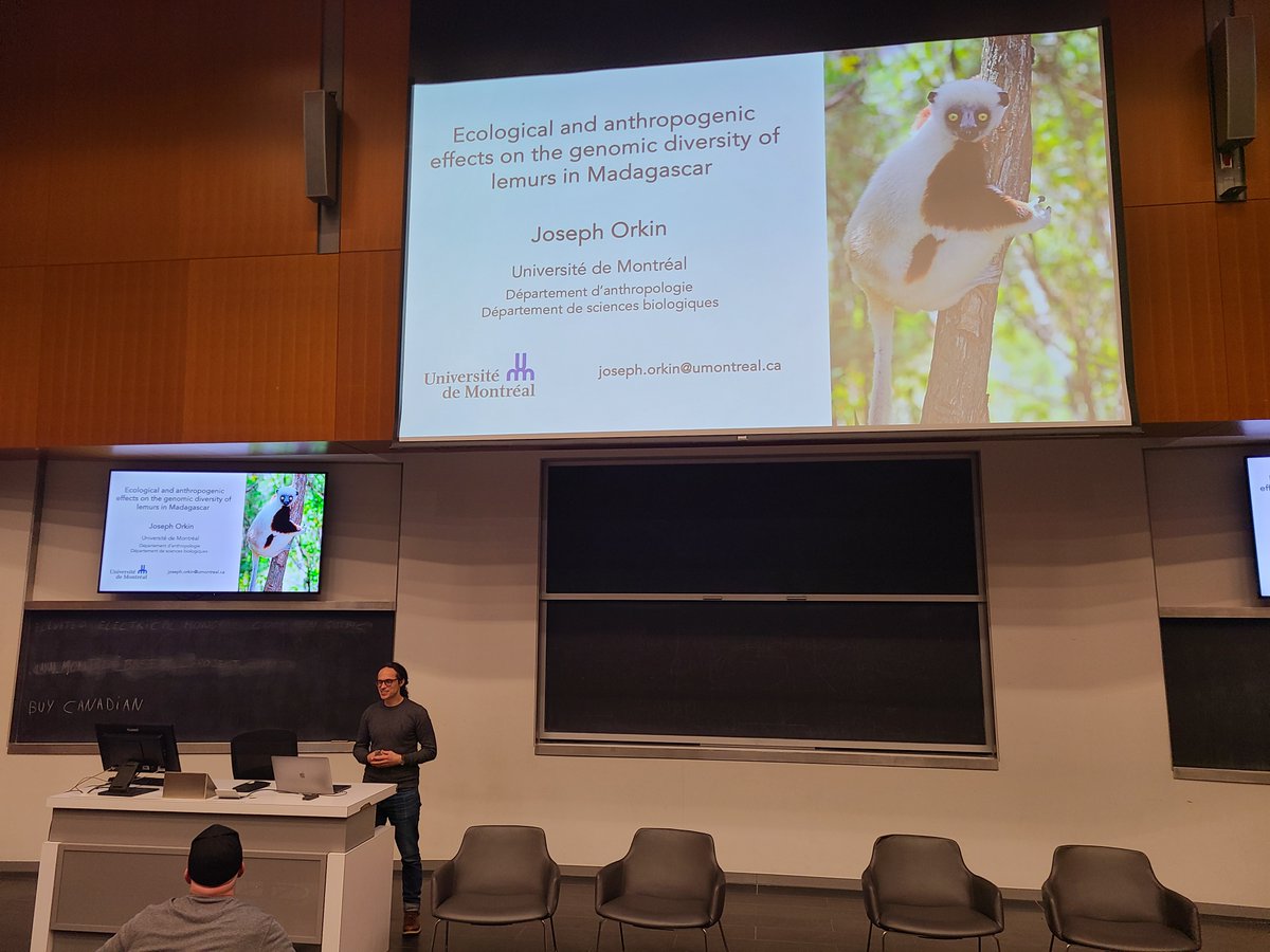 Knomascus's tweet image. Lots of fun talking lemur genomics at @Concordia University for the Montreal Genomics series last night! nature.com/articles/s4155…
