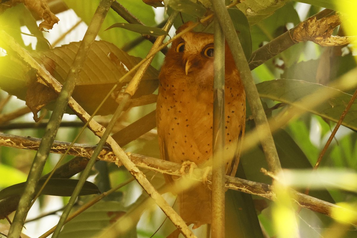 Dominic Mitchell tweet media